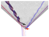 Eyelet Path Surface and Eyelet Path Lines for Delta Wing Flow